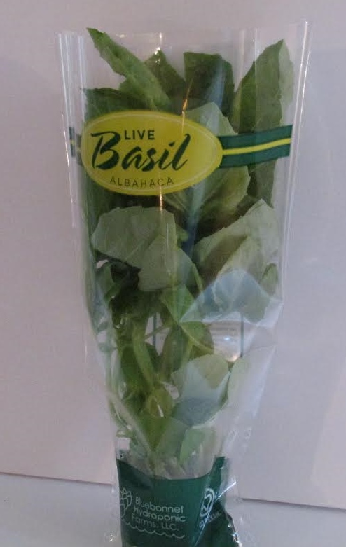 Live basil retail